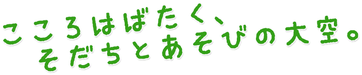 こころはばたく、そだちとあそびの大空。